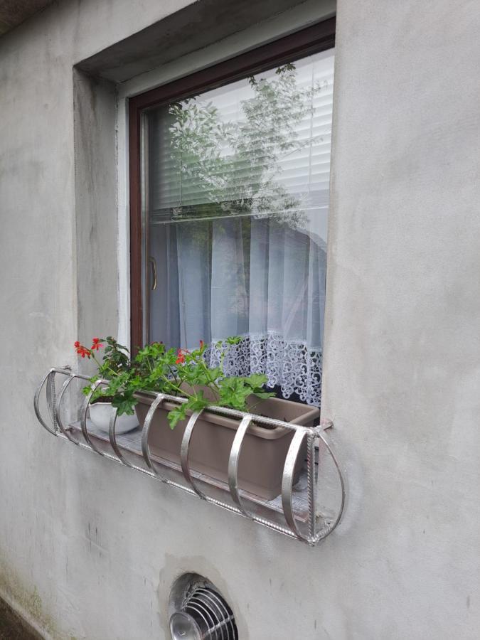 Apartament Dobar San Zagrzeb Zewnętrze zdjęcie
